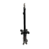 Dentless D-Light Stand 2.0 Version - Image 3